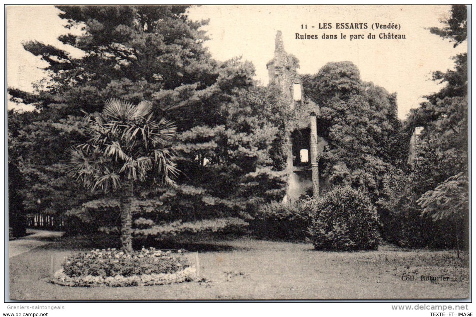 85 LES ESSARTS - Ruines Dans Le Parc Du Chateau - Les Essarts