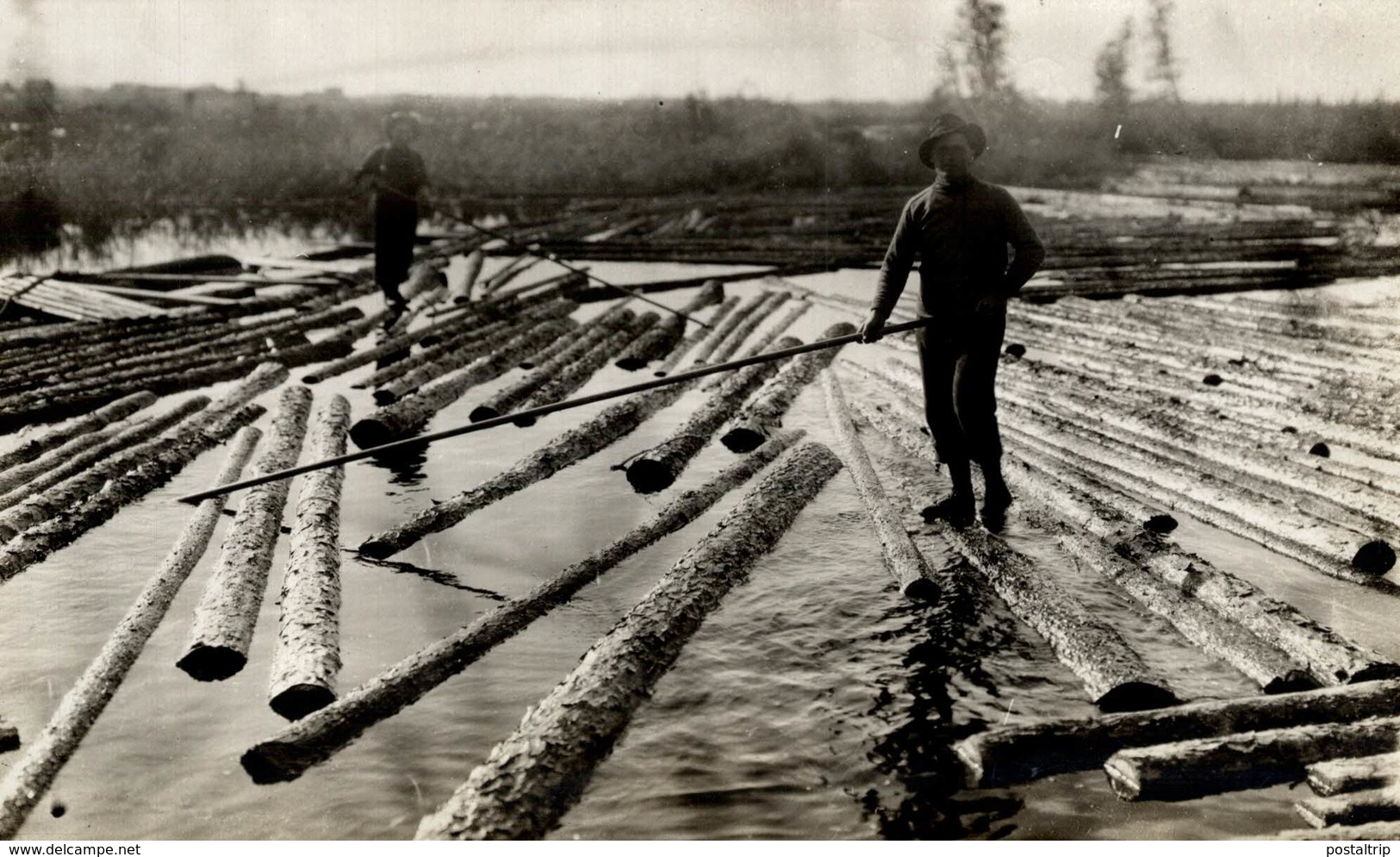 ONTARIO CANADA FOLETTE Forest, Xylology, Forestry 17*11 CM Fonds Victor FORBIN 1864-1947 - Sin Clasificación