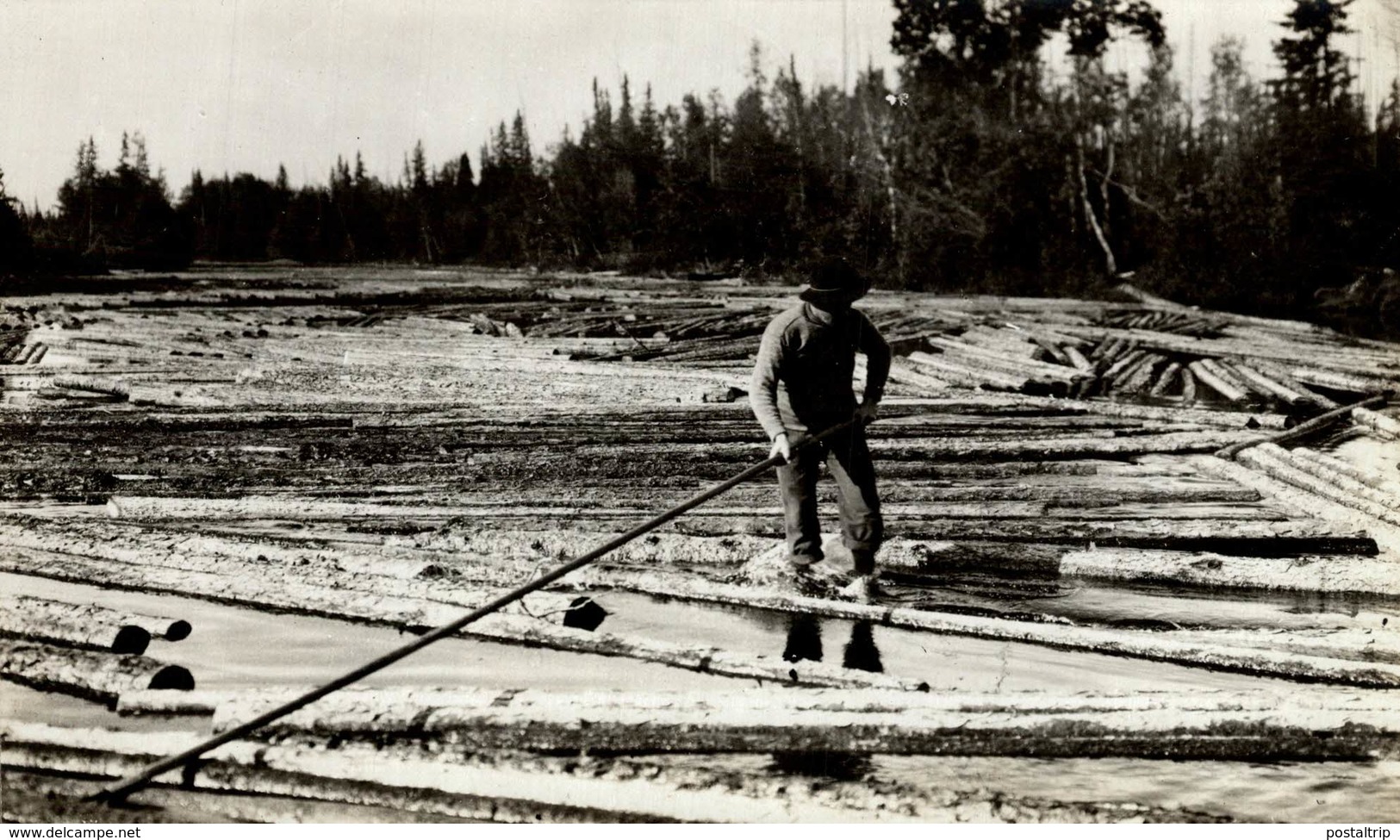 ONTARIO CANADA FOLETTE Forest, Xylology, Forestry 17*11 CM Fonds Victor FORBIN 1864-1947 - Sin Clasificación