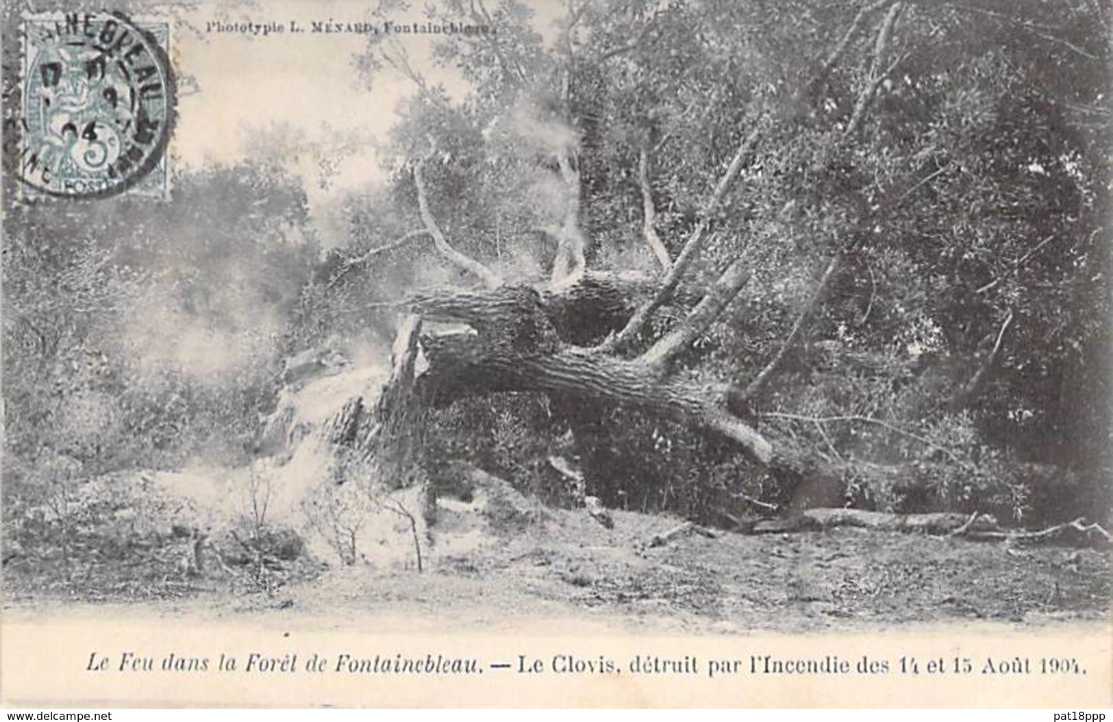 EVENEMENT Catastrophe ( Incendie 14/15 Août 1904 ) 77 FONTAINEBLEAU Le CLOVIS Détruit - CPA ARBRE Tree Bome Boom Albero - Catastrophes