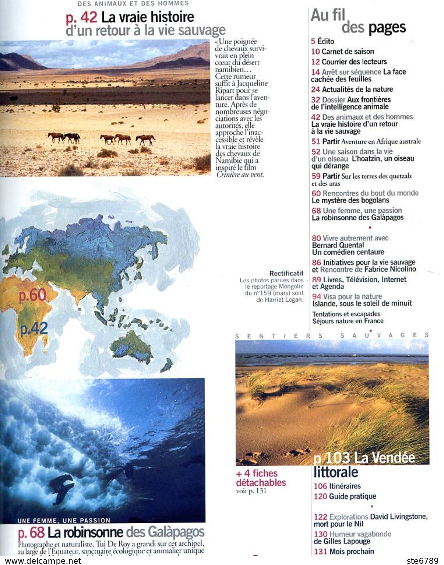 TERRE SAUVAGE N° 160 Chevaux De Namibie , Hoatzin , Mali Bogolans , Vendée Des Iles Et Salins - Animali