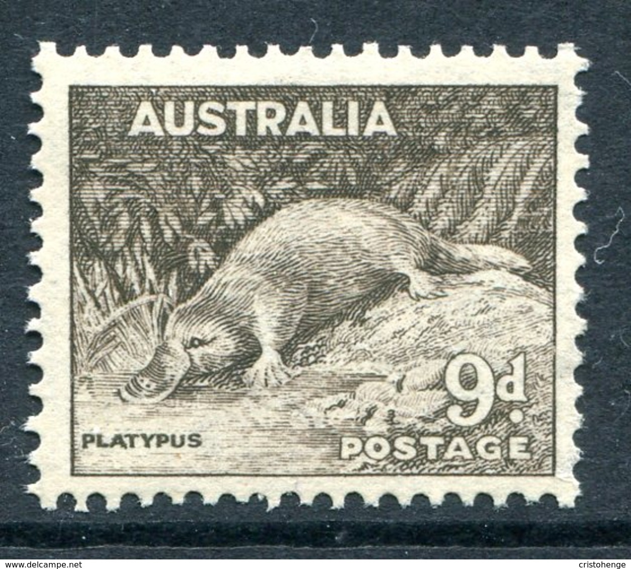 Australia 1937-49 KGVI Definitives (p.13½ X 14) - 9d Platypus LHM (SG 173) - Mint Stamps