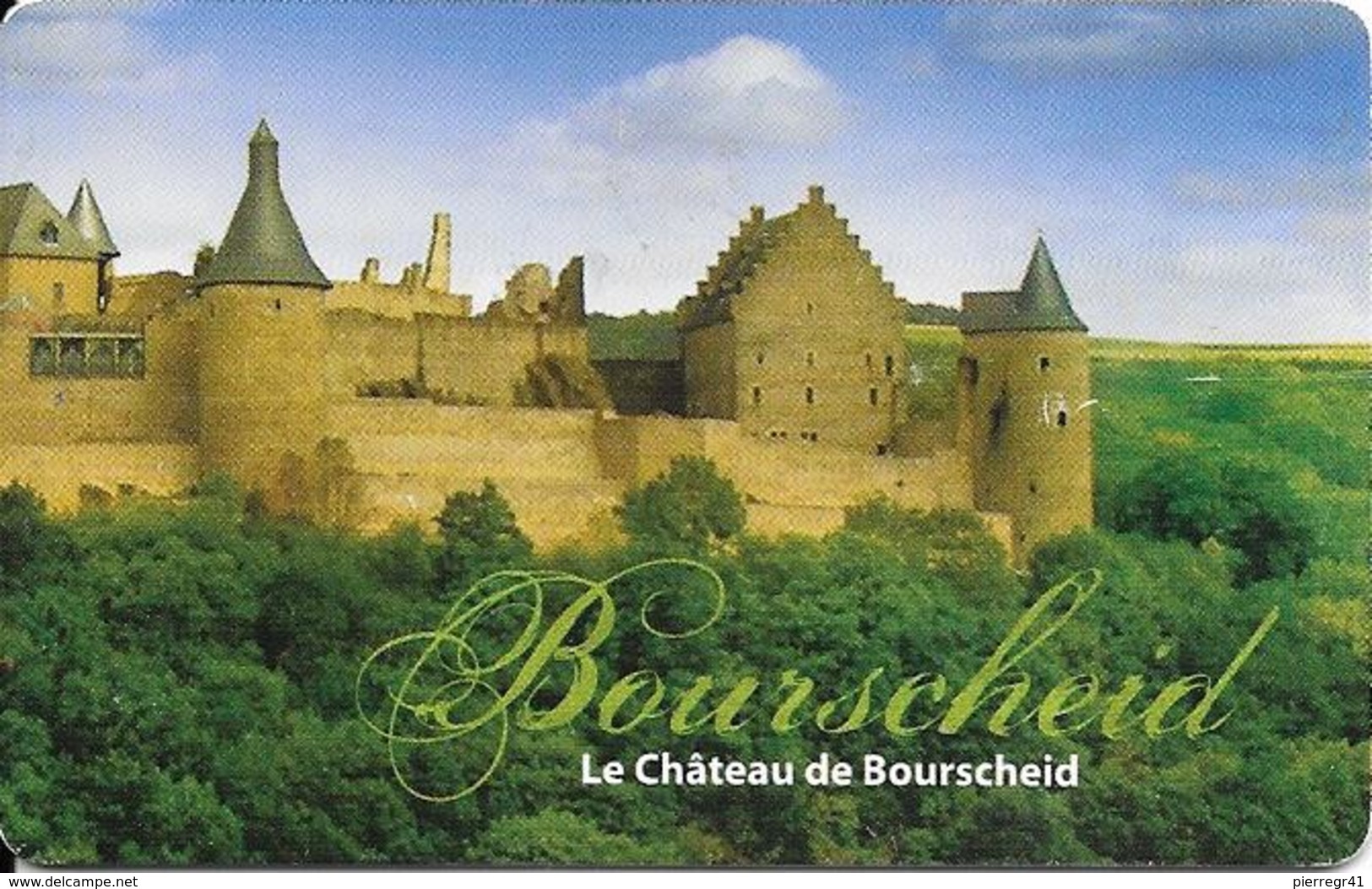 CARTE-PUCE-LUXEMBOURG-50U-TT04-OR6-05/05-CHATEAU De BOURSHEID-TBE - Luxembourg