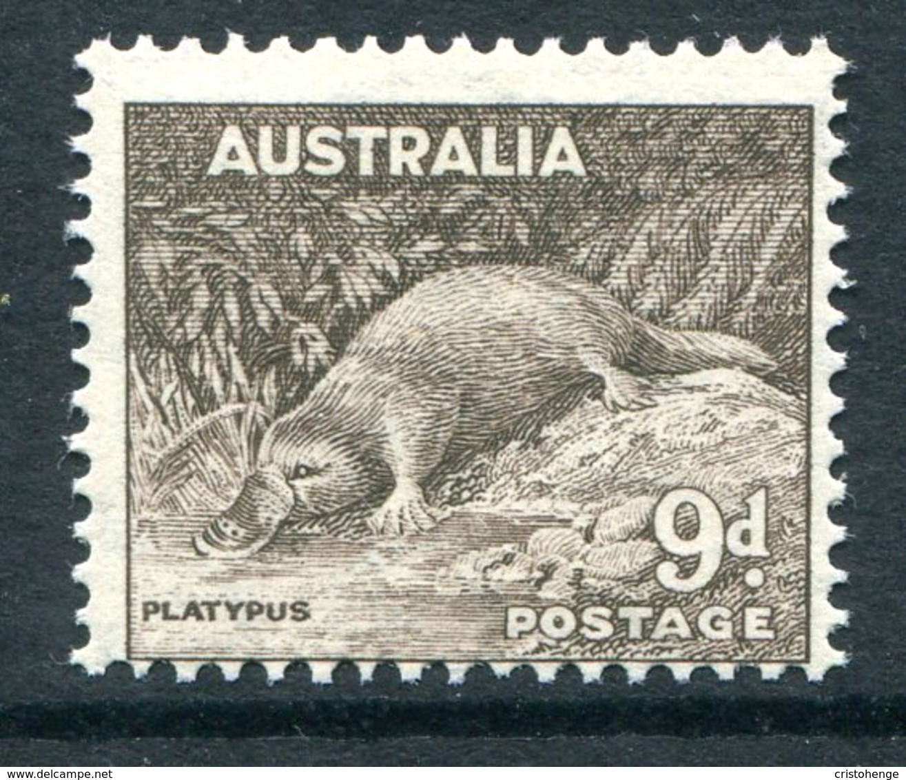 Australia 1937-49 KGVI Definitives (p.15 X 14) - 9d Platypus MNH (SG 191) - Mint Stamps