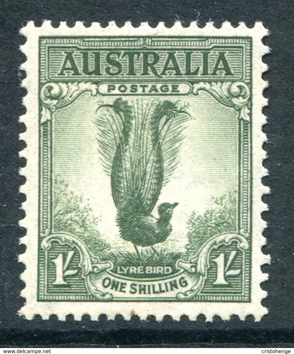 Australia 1937-49 KGVI Definitives (p.15 X 14) - 1/- Lyre Bird MNH (SG 192) - Mint Stamps