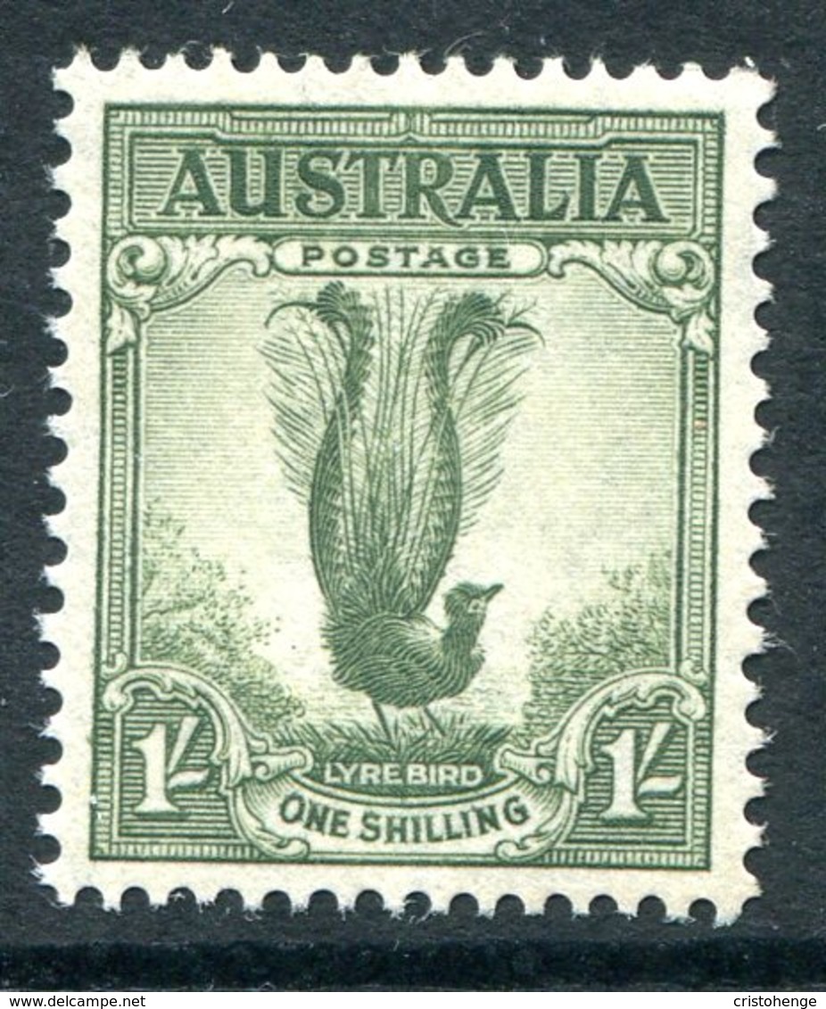 Australia 1937-49 KGVI Definitives (p.15 X 14) - 1/- Lyre Bird MNH (SG 192) - Mint Stamps