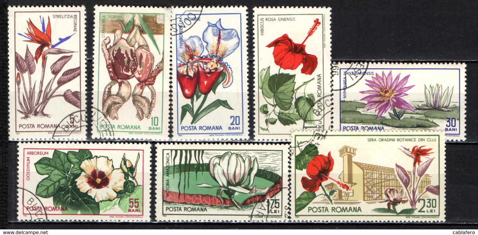 ROMANIA - 1965 - Flowers From Cluj Botanical Gardens - USATI - Usati