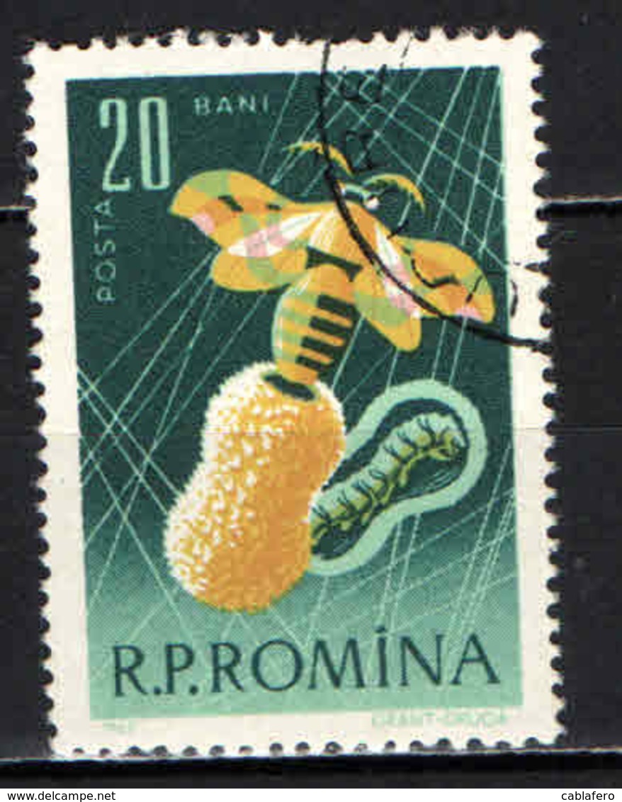 ROMANIA - 1963 - Chrysalis, Moth And Worm - USATO - Usati