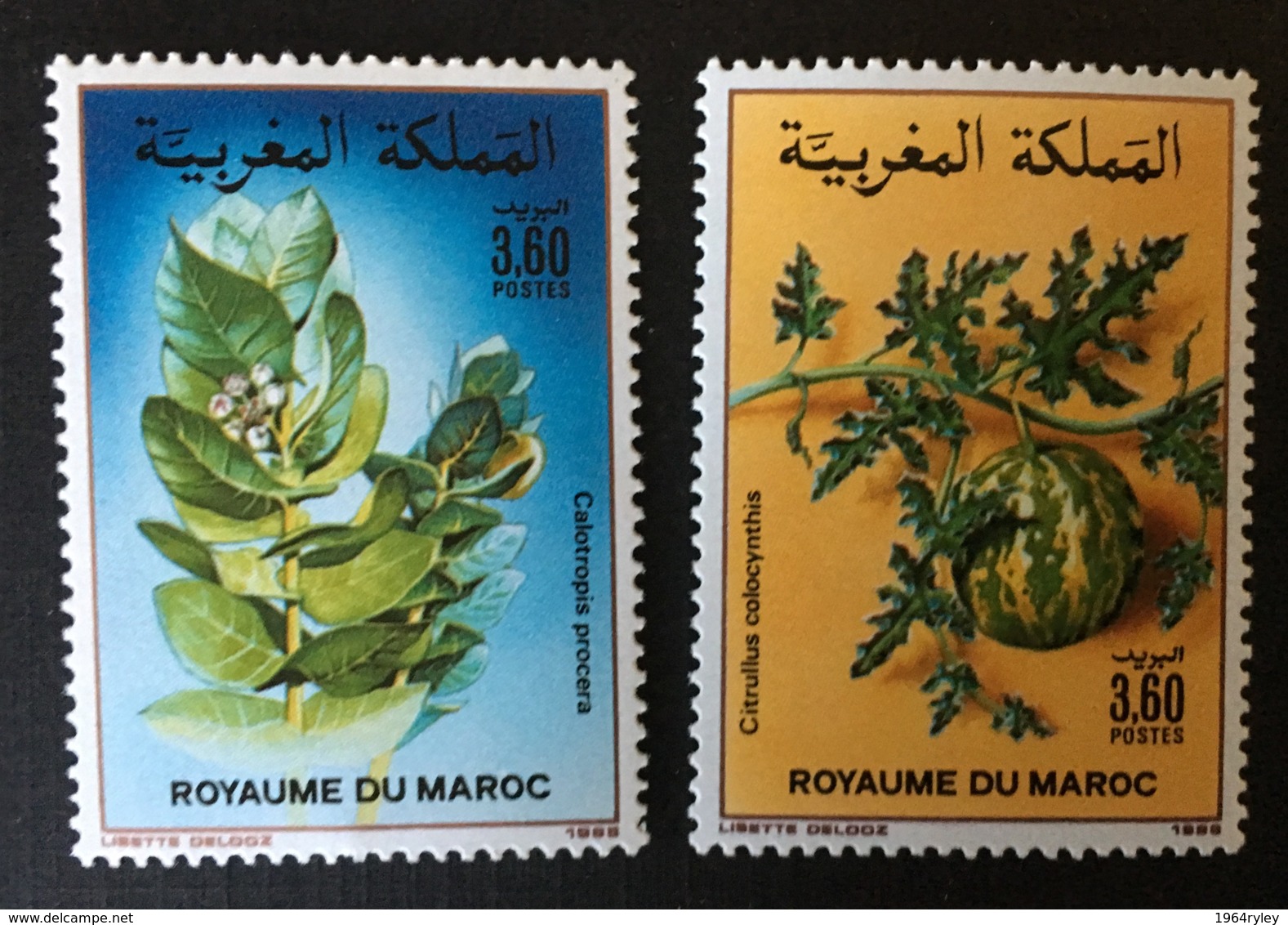 Morocco - MNH** - 1988 - # 661/662 - Marokko (1956-...)