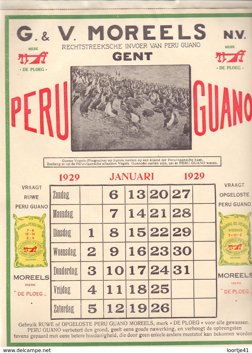 Kalender 1929 - Pub Reclame - G & V. Moreels - Peru Guano Gent - - Grand Format : 1921-40