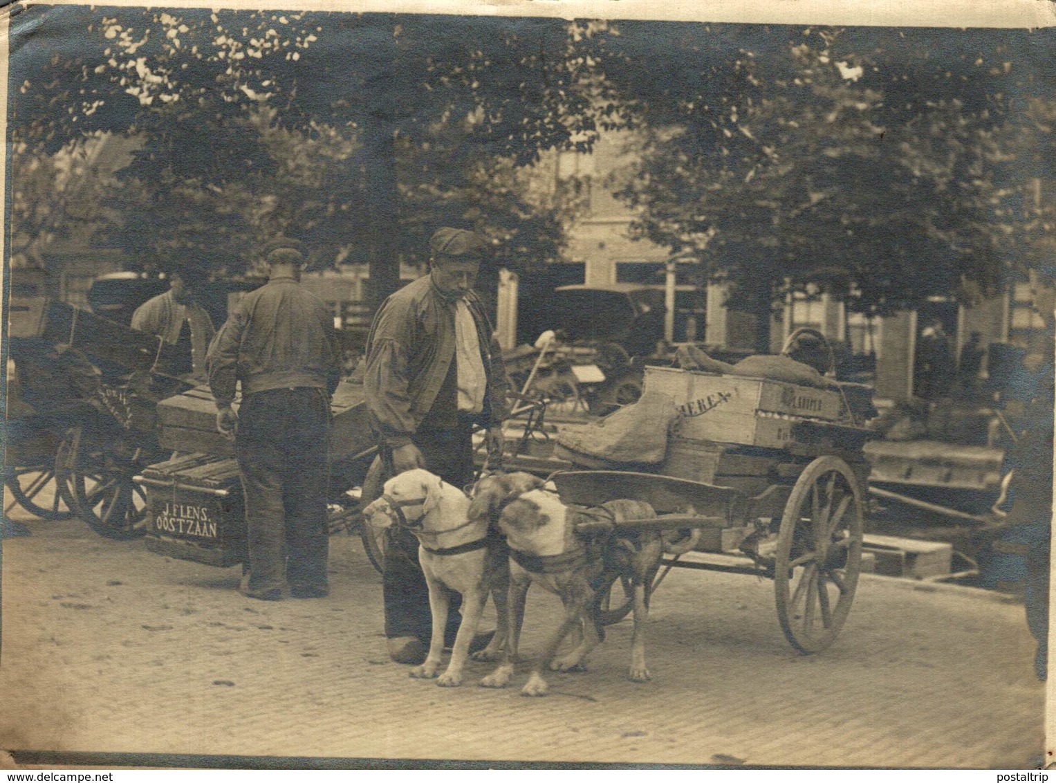 ATTELAGE CHIEN HONDENKAR J F LENS OOSTZAAN ZAANDAM NEDERLAND  21*16 CM Fonds Victor FORBIN 1864-1947 - Sin Clasificación