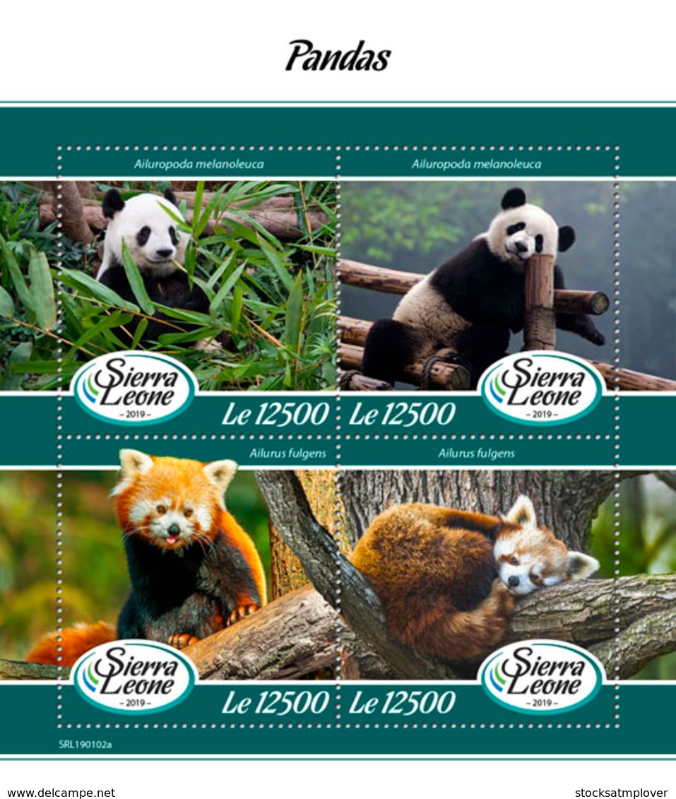 Sierra Leone 2019 Fauna Pandas S201903 - Sierra Leone (1961-...)
