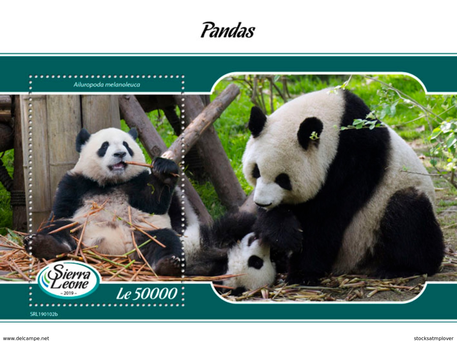 Sierra Leone 2019 Fauna Pandas S201903 - Sierra Leone (1961-...)