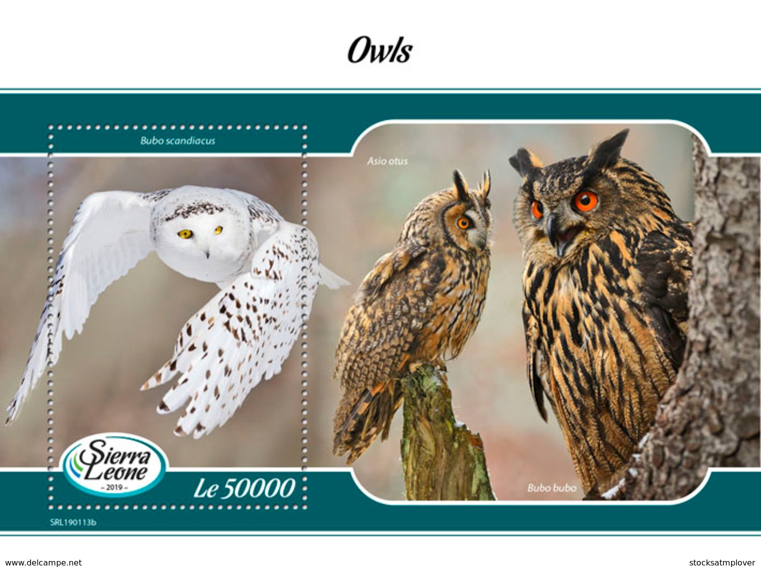 Sierra Leone 2019 Fauna Owls S201903 - Sierra Leone (1961-...)