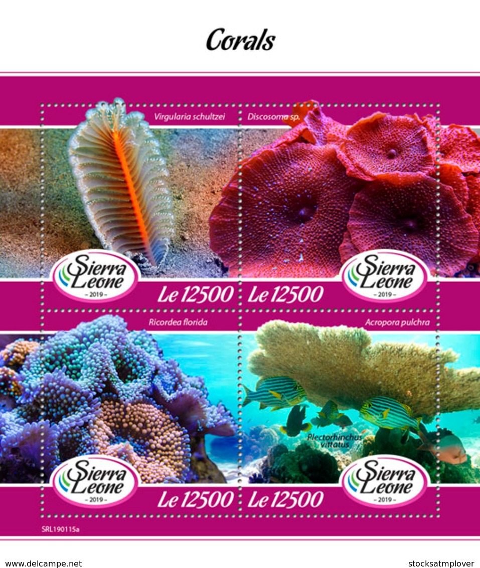 Sierra Leone 2019 Fauna Corals  S201903 - Sierra Leone (1961-...)