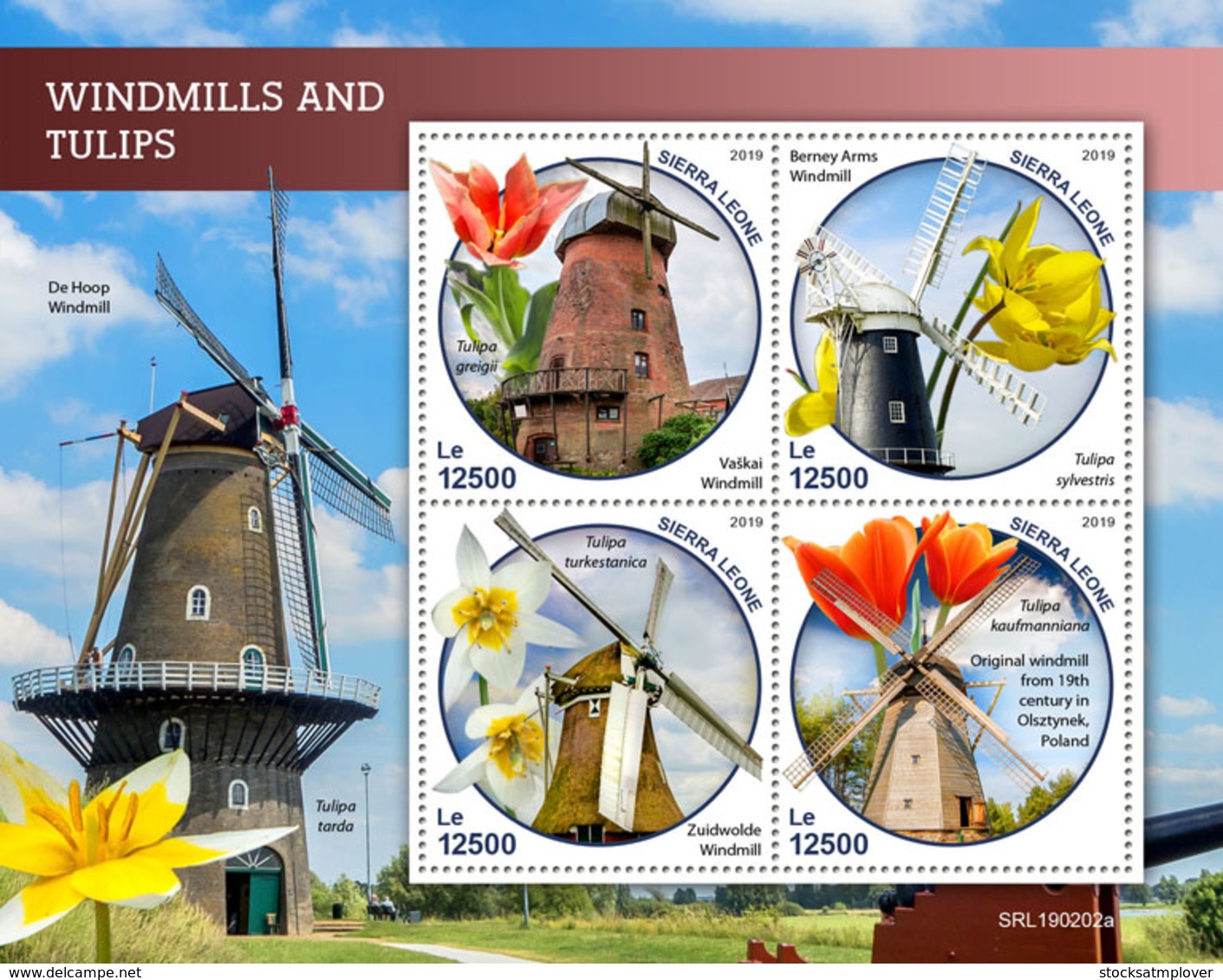 Sierra Leone 2019 Windmills And Tulips ,flowers S201903 - Sierra Leone (1961-...)