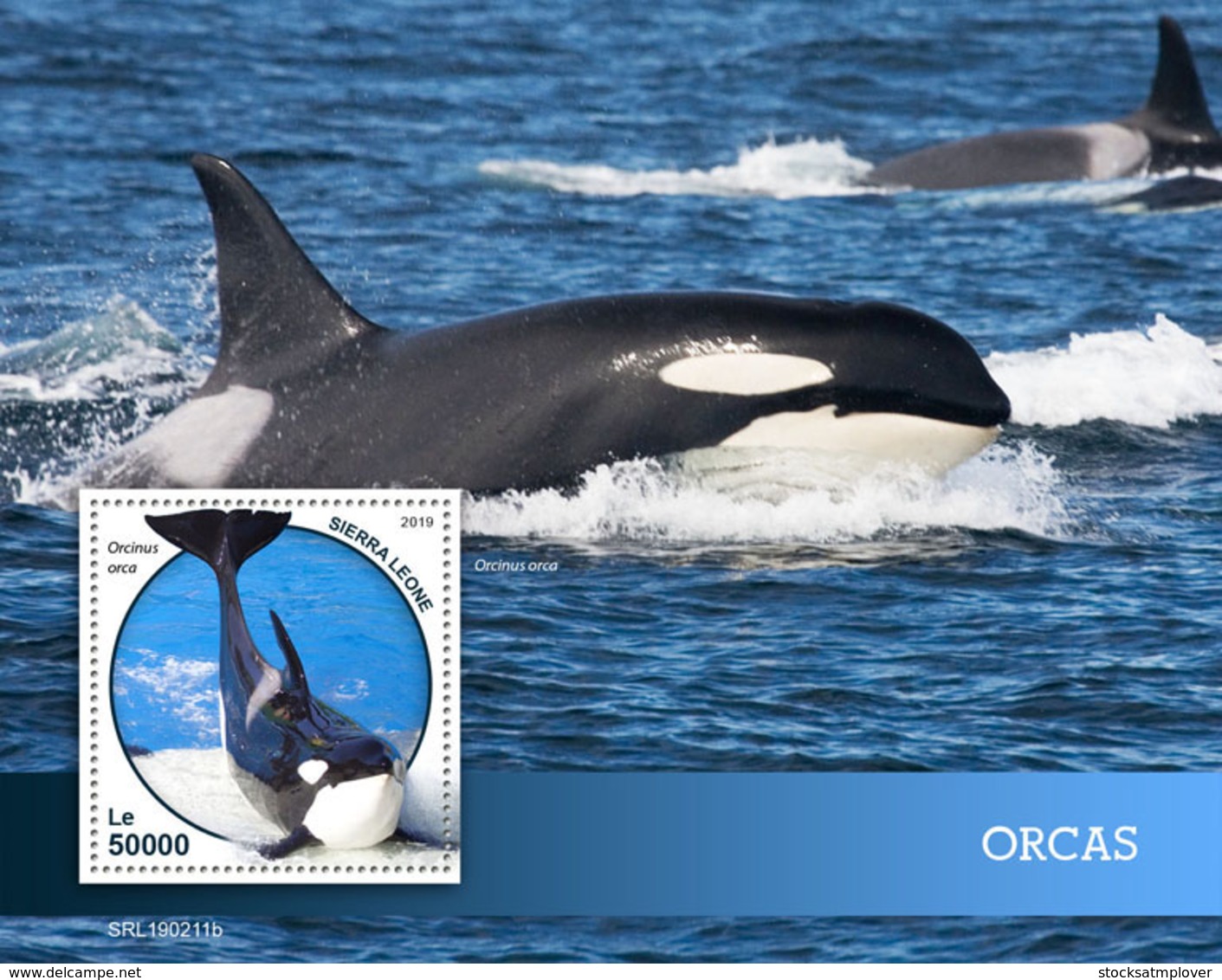 Sierra Leone 2019 Fauna Orcas  ,whales S201903 - Sierra Leone (1961-...)