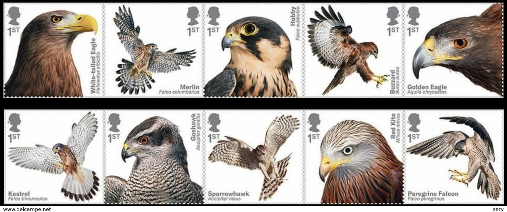 Great Britain 2019 Set 10 V MNH   EUROPA Birds Of Prey  Bird   Oiseaux Oiseau Eagle Aigle - Aigles & Rapaces Diurnes