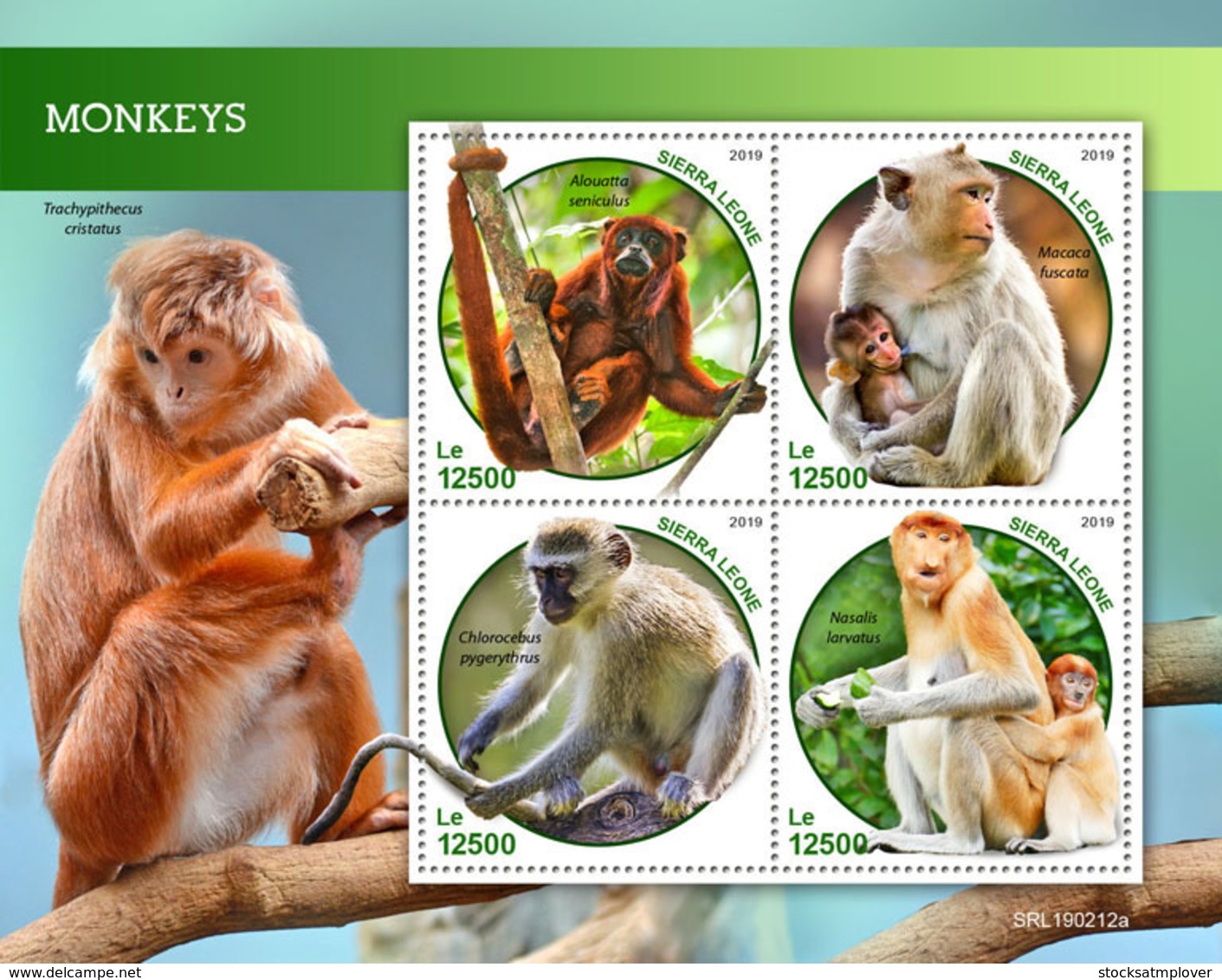Sierra Leone 2019 Fauna Monkeys S201903 - Sierra Leone (1961-...)