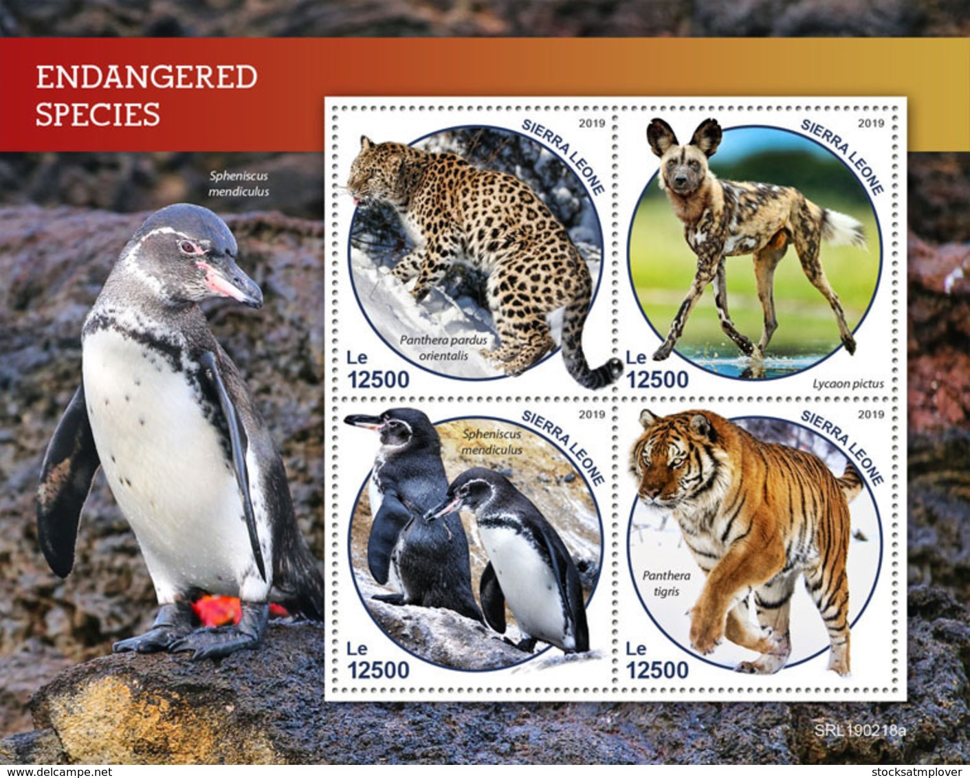 Sierra Leone 2019 Fauna Endangered Species  ,tiger ,penguin, Snow Leopard  S201903 - Sierra Leone (1961-...)