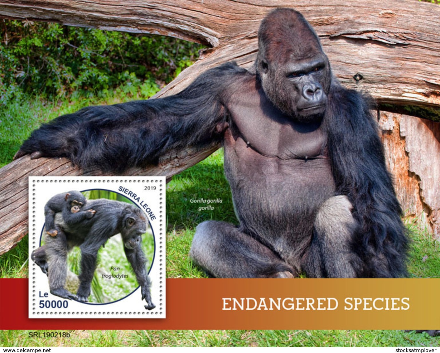 Sierra Leone 2019 Fauna Endangered Species  ,gorilla  ,chimpanzee S201903 - Sierra Leone (1961-...)