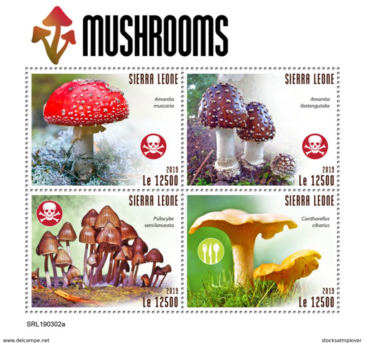 Sierra Leone 2019  Mushrooms S201903 - Sierra Leone (1961-...)