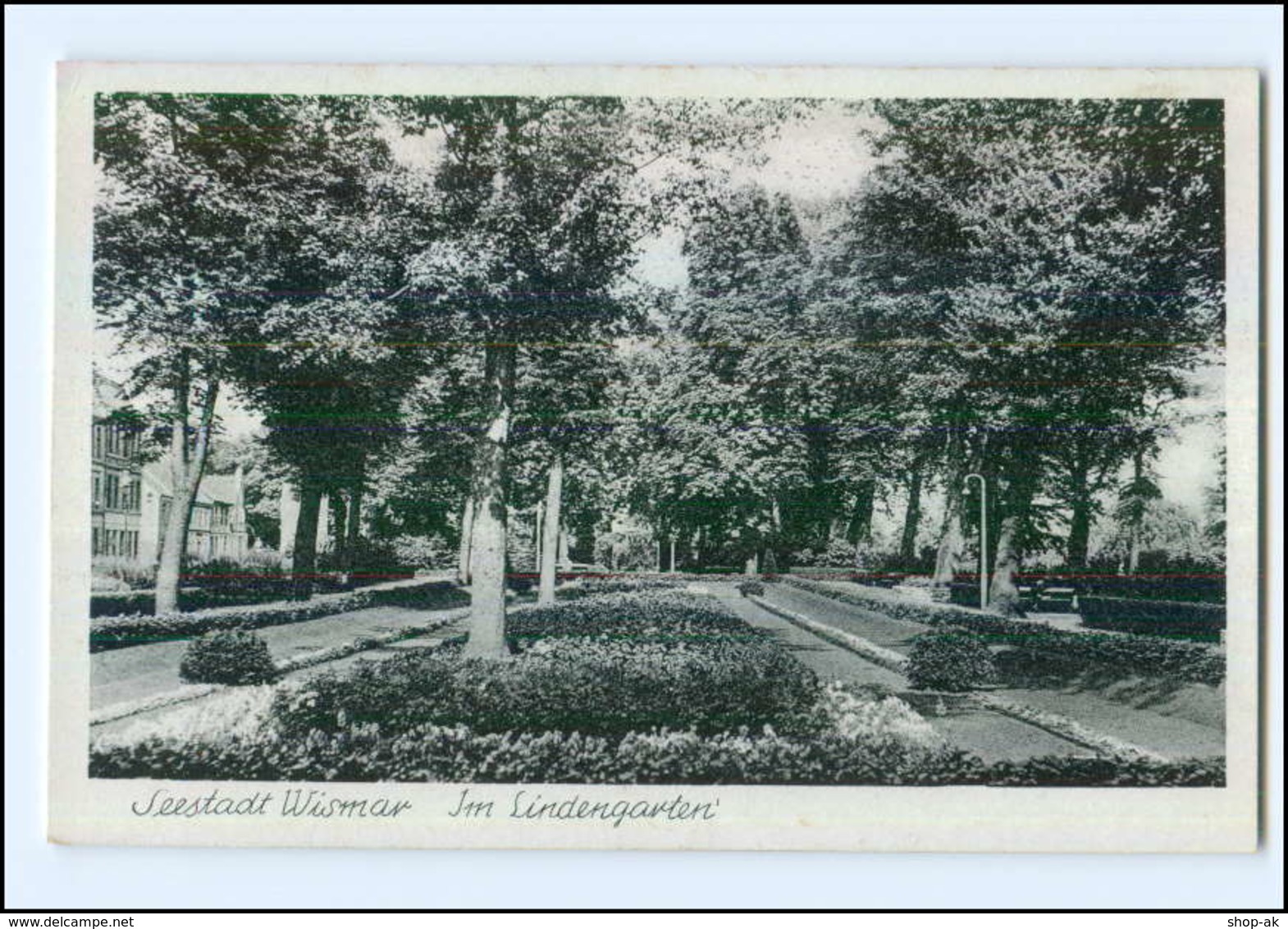 U7304/ Wismar Im Lindengarten Ak Ca. 1940 - Autres & Non Classés