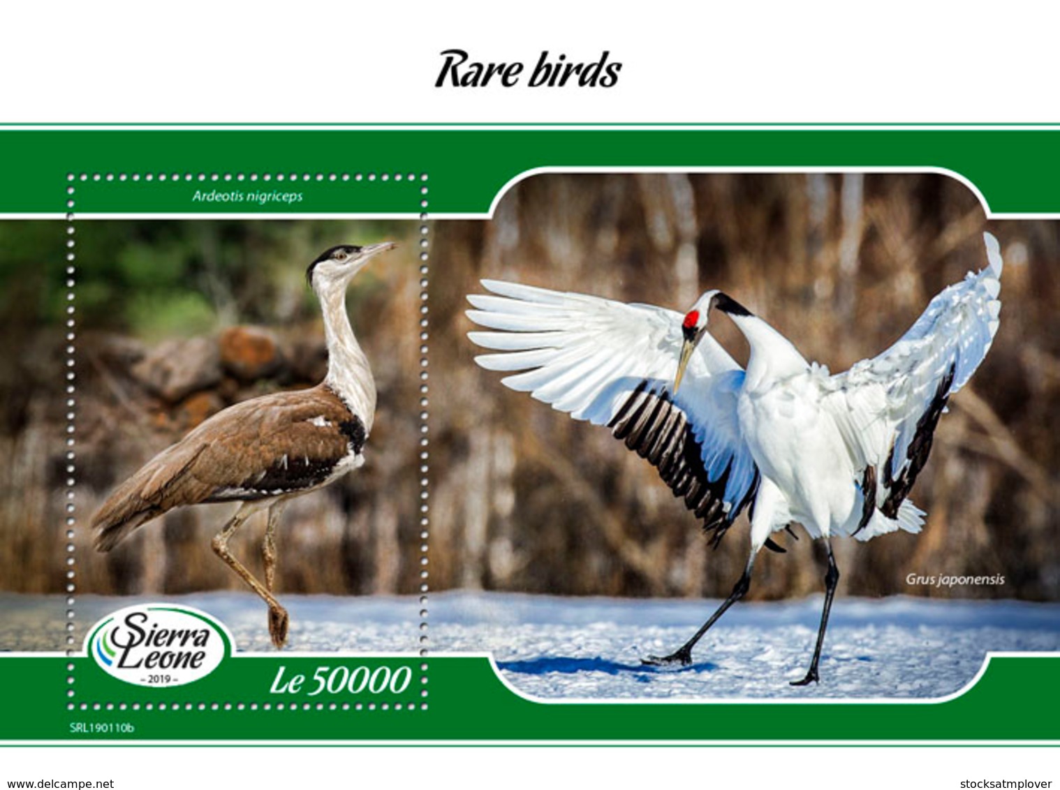 Sierra Leone 2019 Fauna Rare Birds   S201903 - Sierra Leone (1961-...)