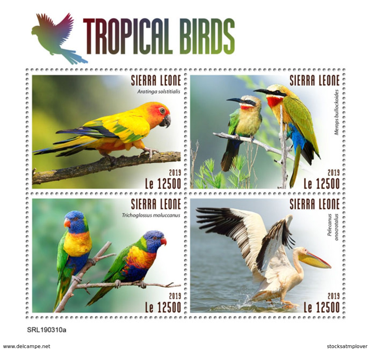 Sierra Leone 2019 Fauna  Tropical Birds S201903 - Sierra Leone (1961-...)