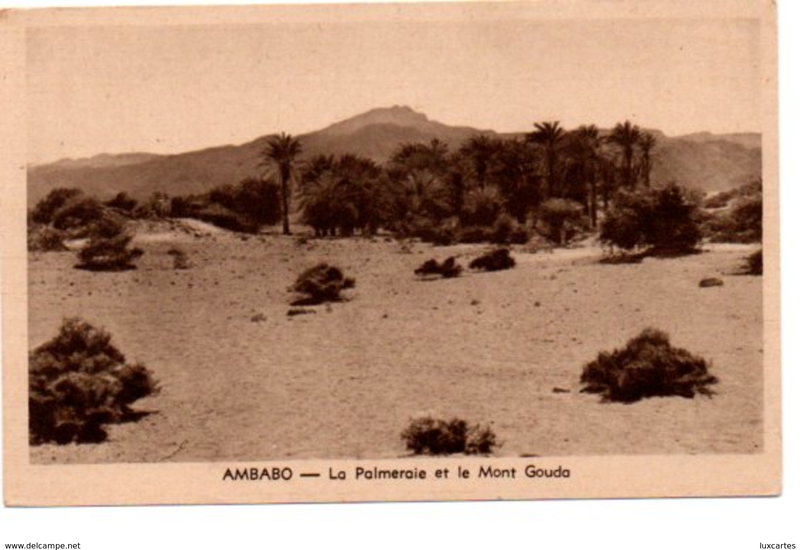 AMBABO. LA PALMERAIE ET LE MONT GOUDA. - Madagascar