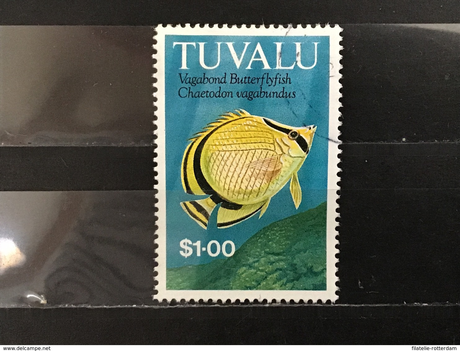 Tuvalu - Vissen (1) 1992 - Tuvalu