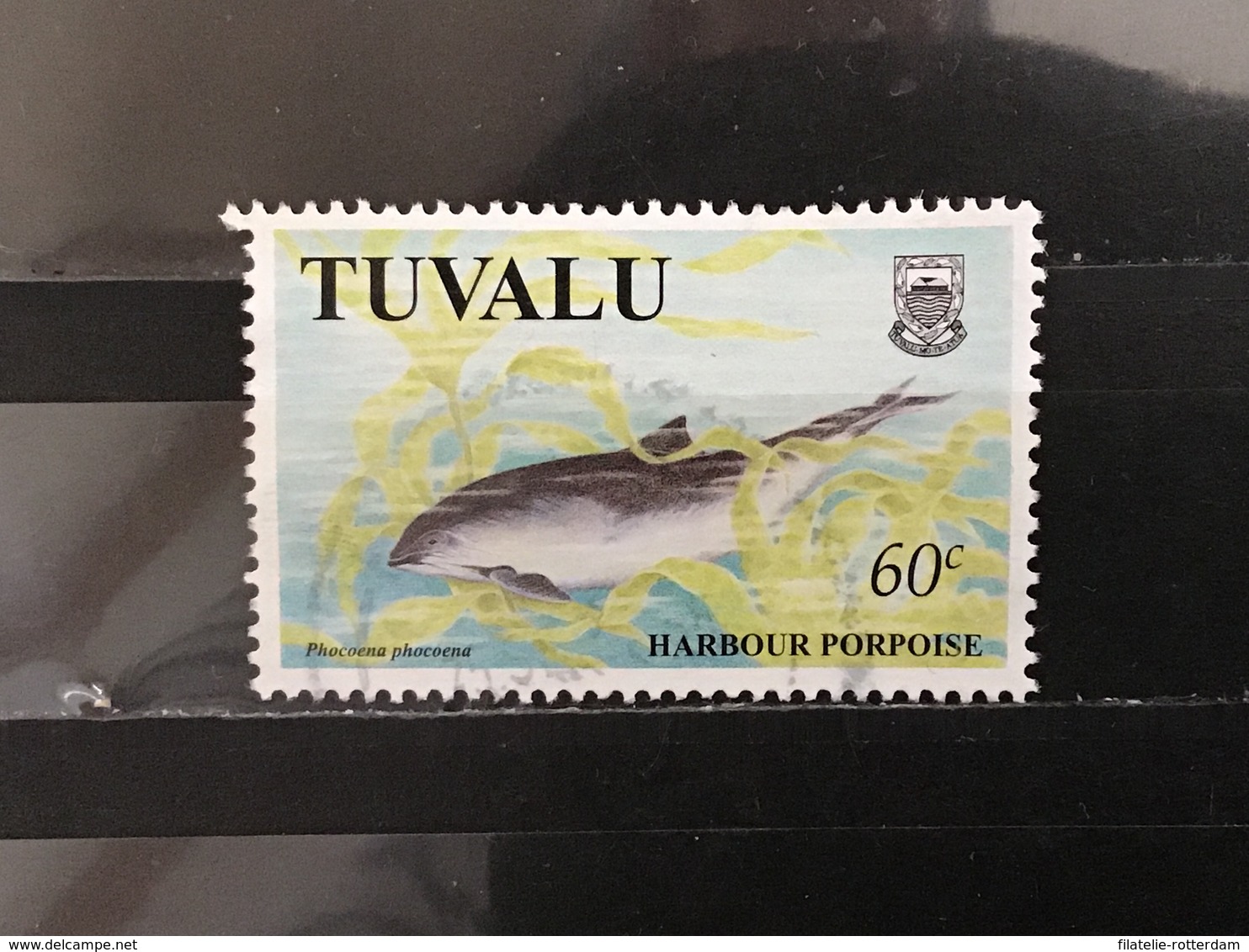 Tuvalu - Dolfijnen (60) 1998 - Tuvalu