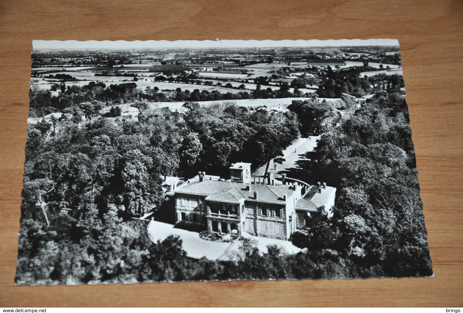 10707     CLISSON, CHATEAU DE LA GARENNE LEMOT - Clisson