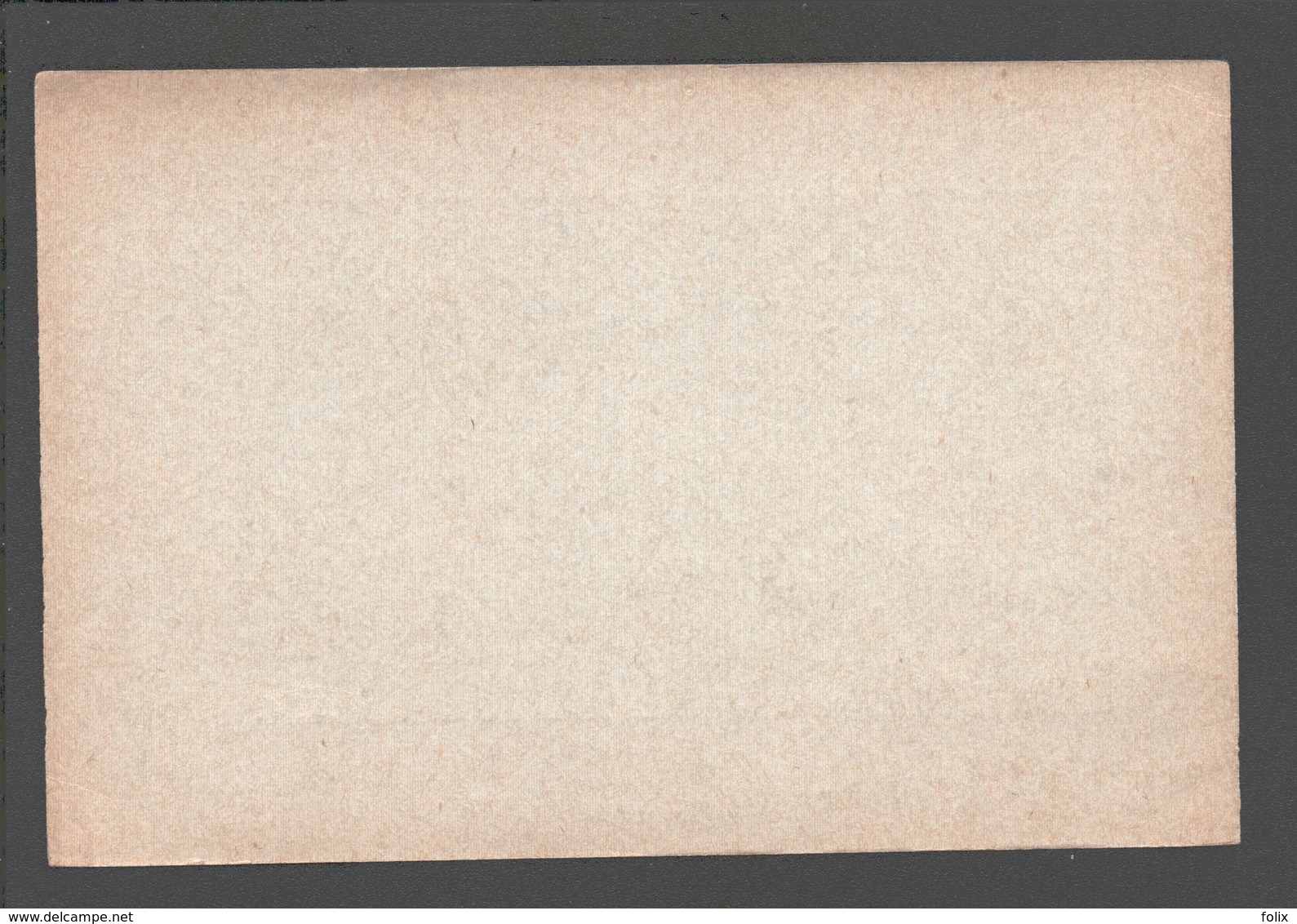 Verviers - Carte Publicitaire à Dos Blanc - Imprimerie-Lithographie Aug. Nicolet, Crapaurue 188, Verviers - Verviers