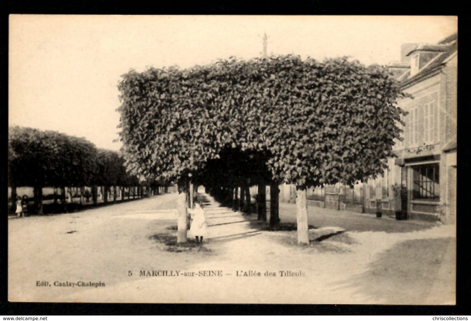 51 -  MARCILLY SUR SEINE (Marne) - L'Allée Des Tilleuls - Andere & Zonder Classificatie