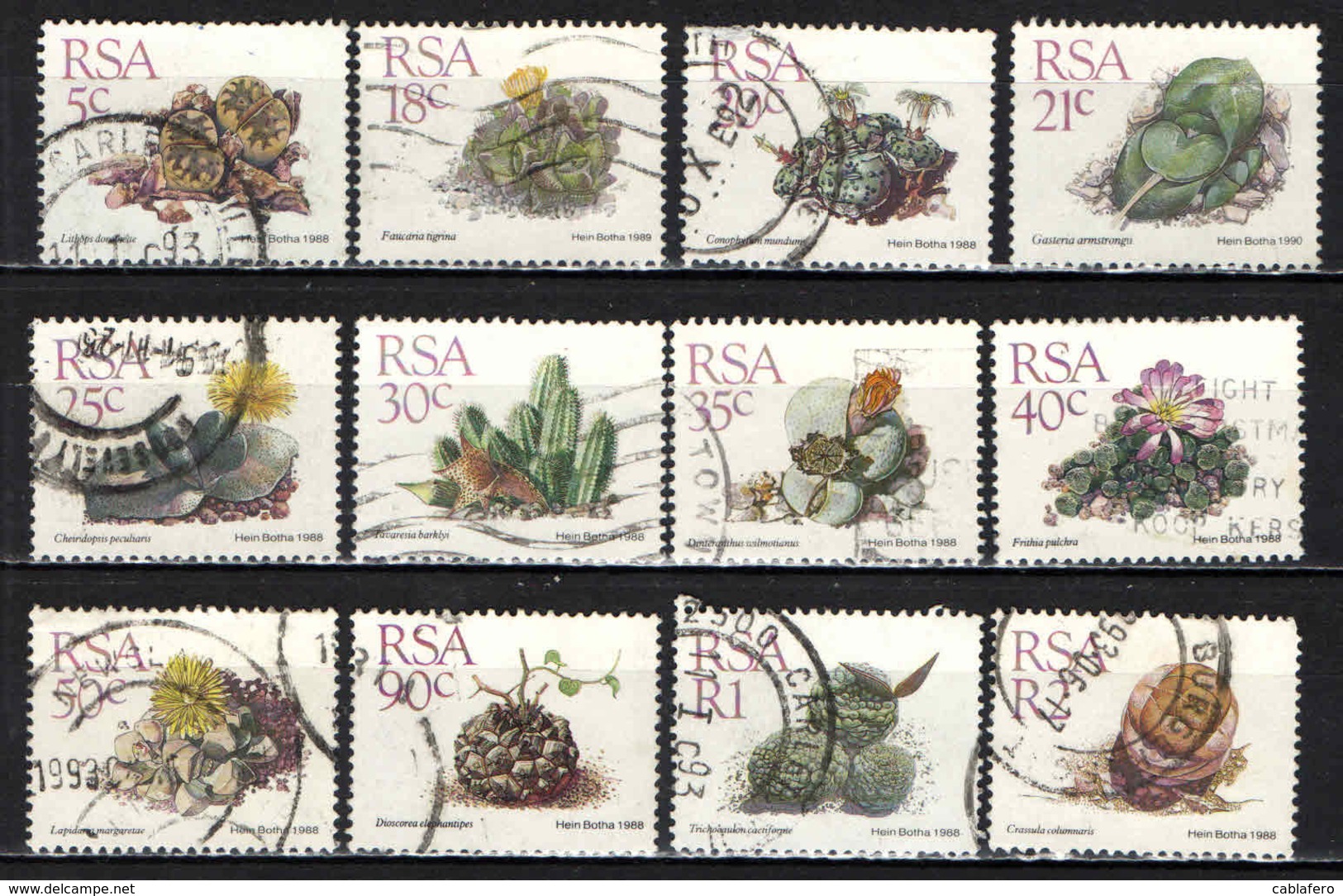 SUD AFRICA - 1988 - PIANTE GRASSE - SUCCULENTS - USATI - Usati