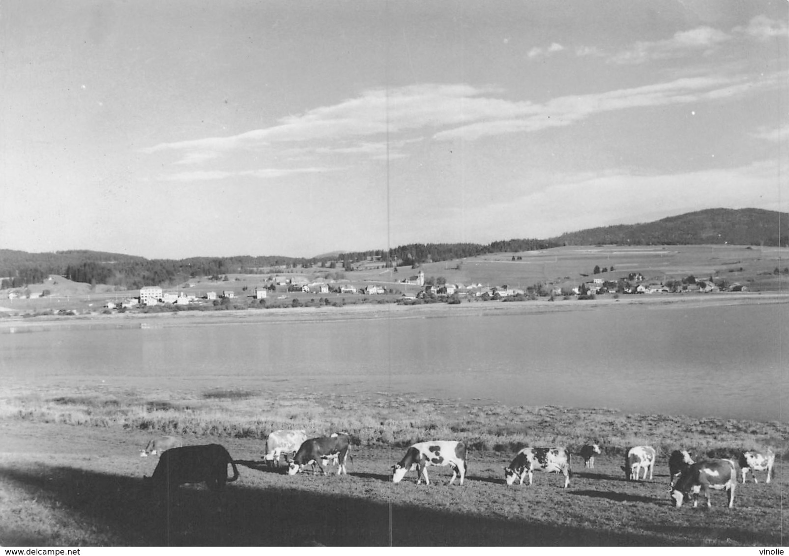 PIE.T.19-6850 : LABERGEMENT SAINTE-MARIE. PAYSAGES DU HAUT DOUBS. PHOTO STENACRE PONTARLIER - Other & Unclassified