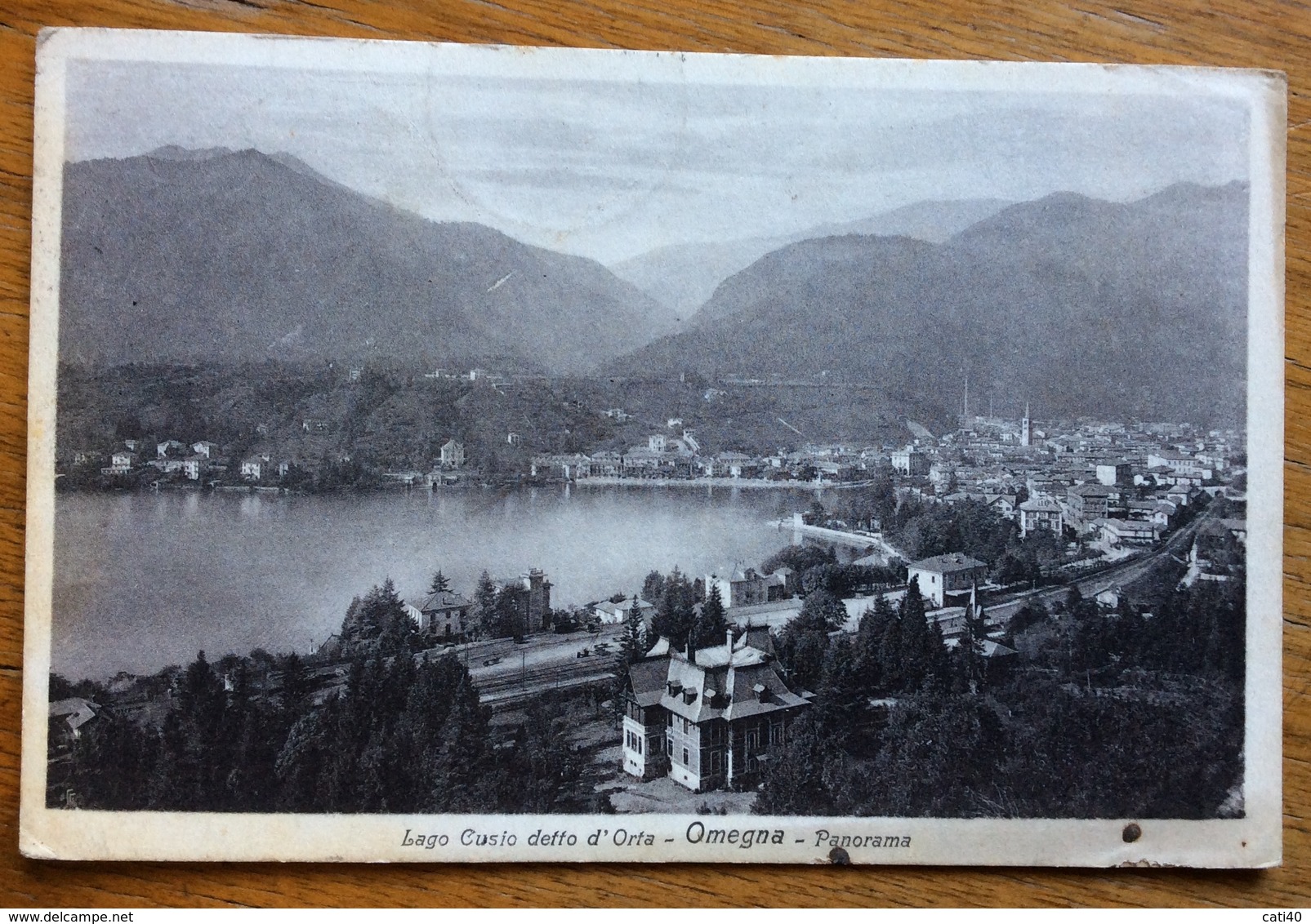 AMBULANTE NOVARA - DOMODOSSOLA (113 ) 9/8/25 Su LEONI 10/15 SU CARTOLINA OMEGNA LAGO CUSIO DETTO D'ORTA - Storia Postale