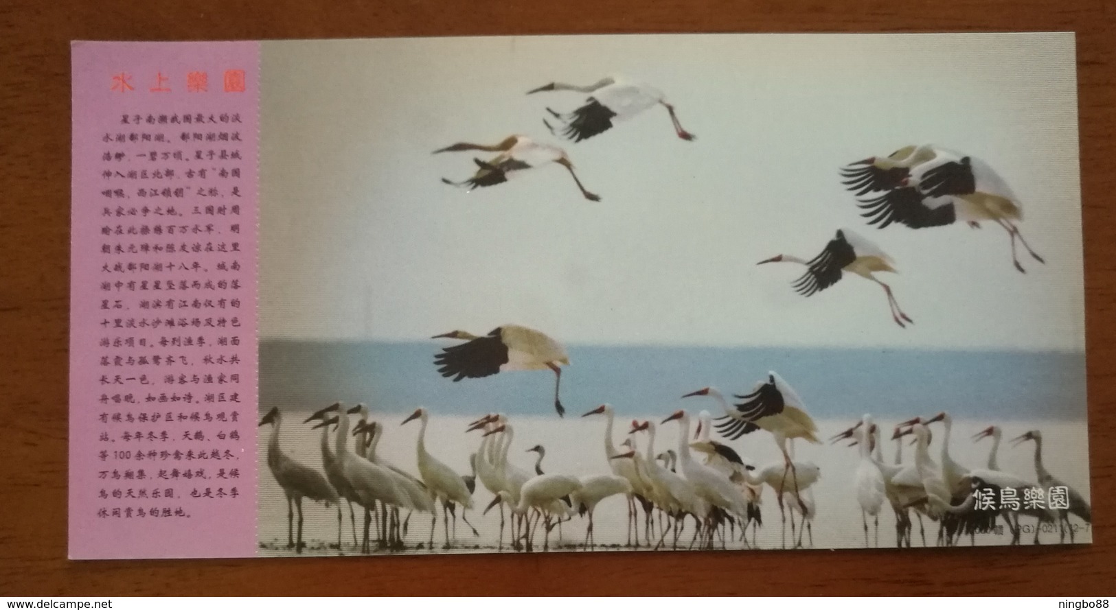 Siberian White Crane Bird Inhabiting,China 2000 Mt.Lushan Migratory Bird Paradise Landscape Advert Pre-stamped Card - Cranes And Other Gruiformes