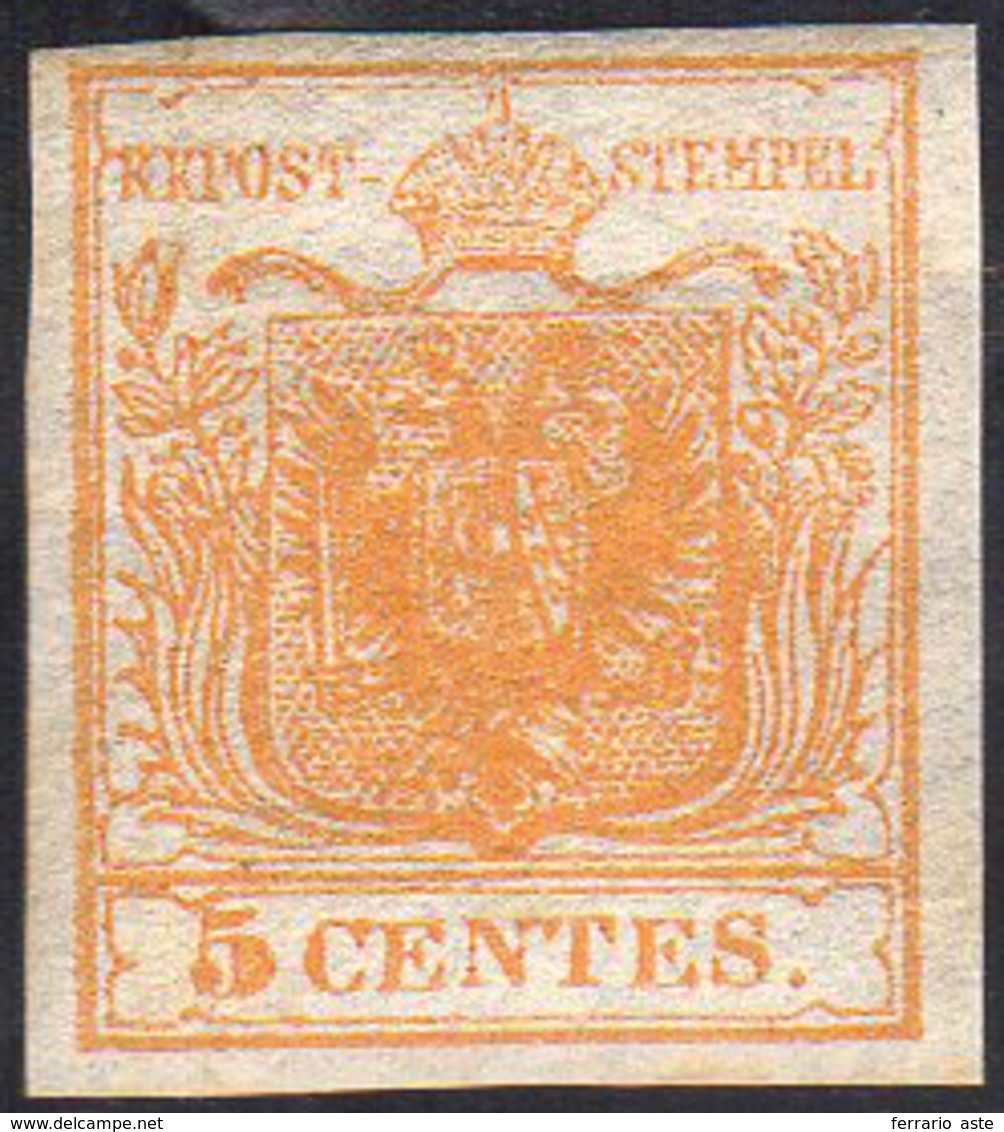 1850 - 5 Cent. Giallo Ocra (1), Nuovo, Gomma Originale, Perfetto. Molto Fresco! Cert. Diena.... - Lombardo-Vénétie