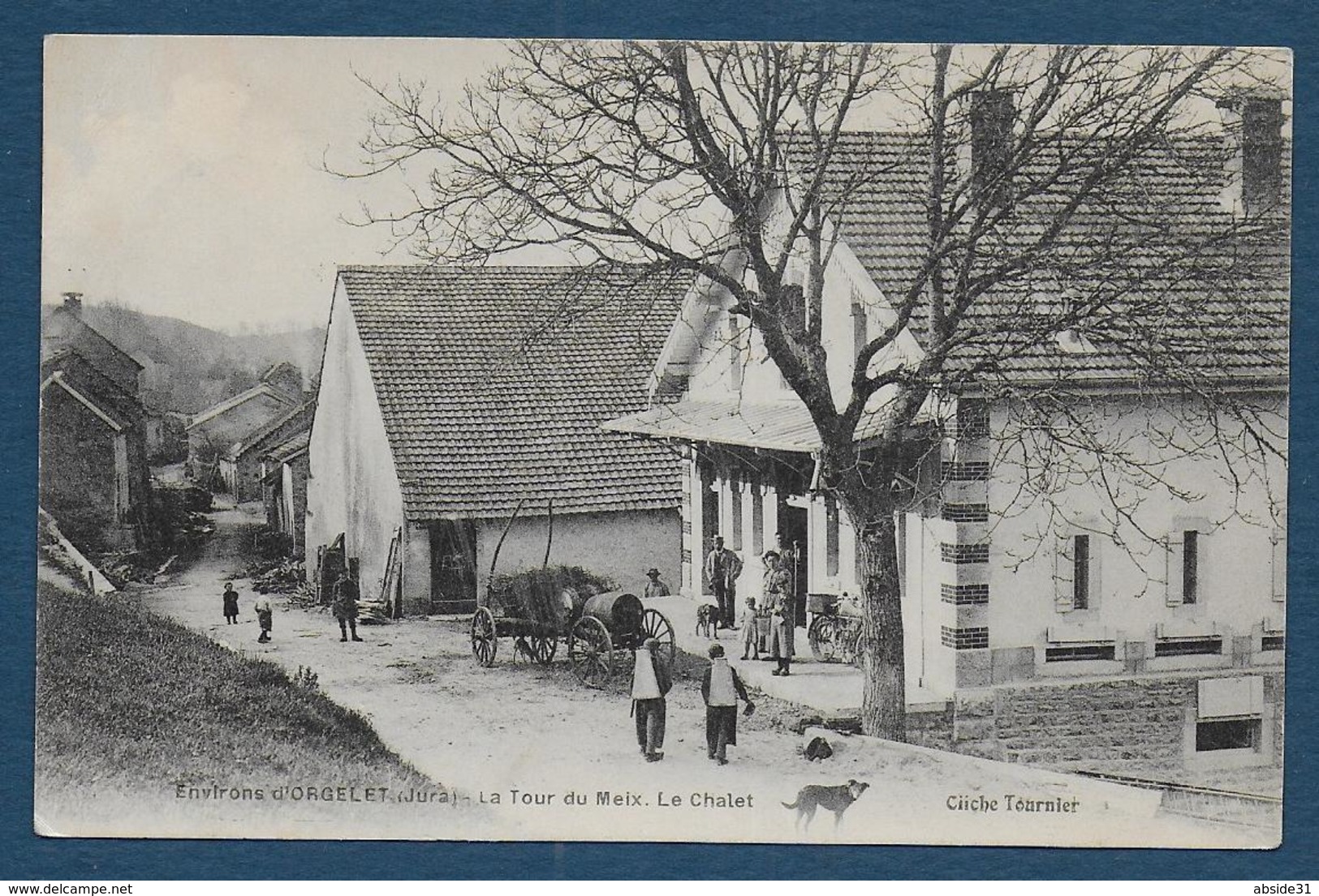 Environs D'ORGELET - La Tour Du Meix - Le Chalet - Orgelet