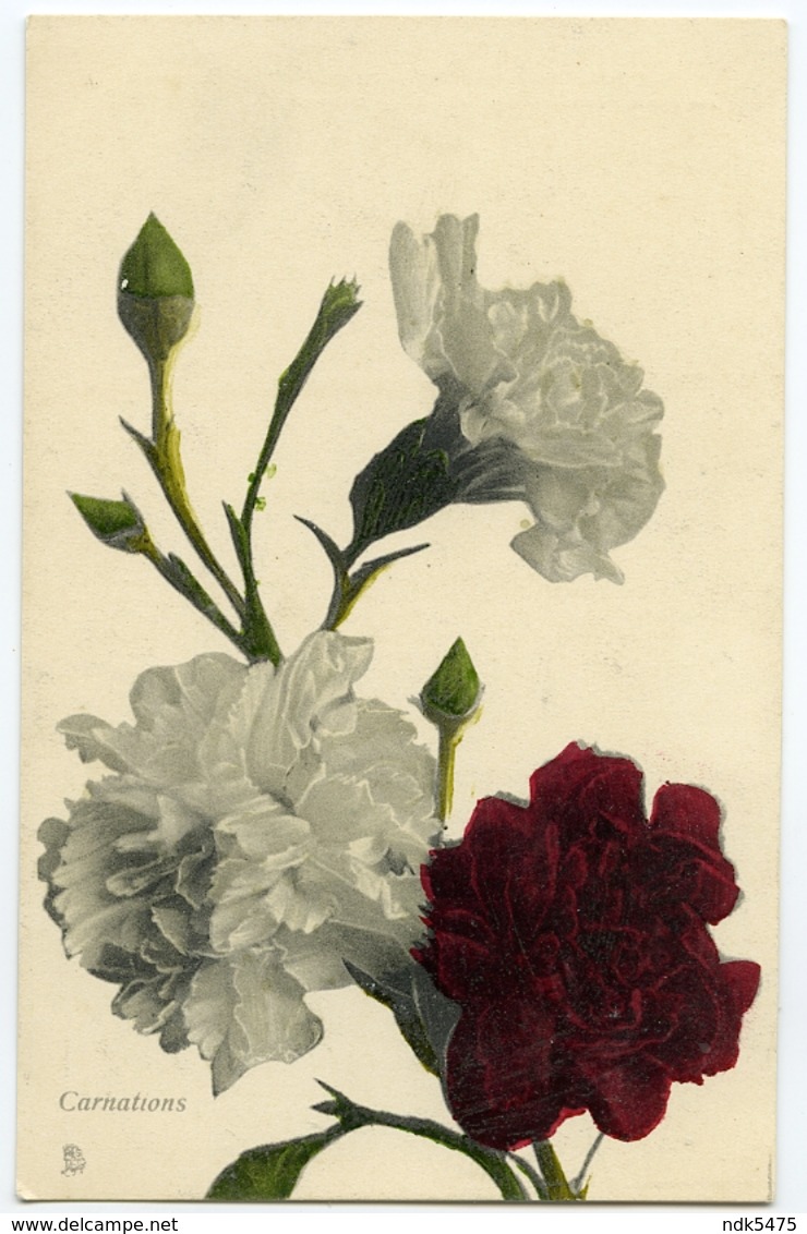 TUCKS FLOWERS : CARNATIONS - Flowers