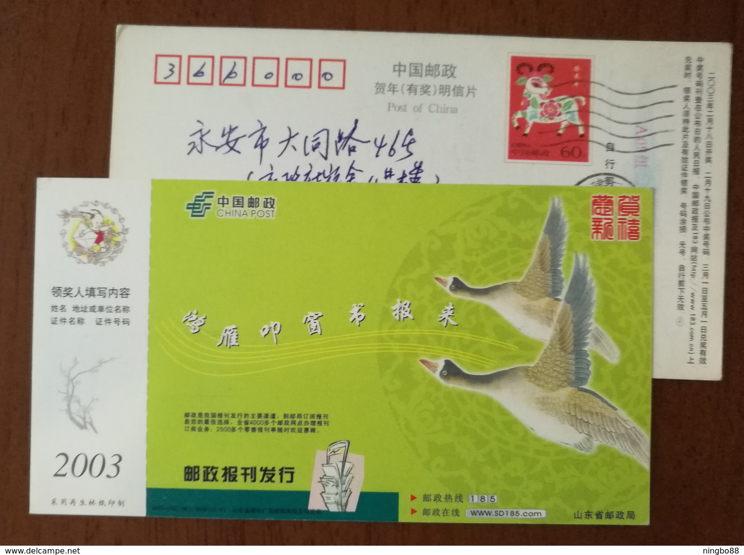 Swan Goose Bird,China 2003 Shandong Post Office Postal Newspaper Distribution Advertising Pre-stamped Card - Oche