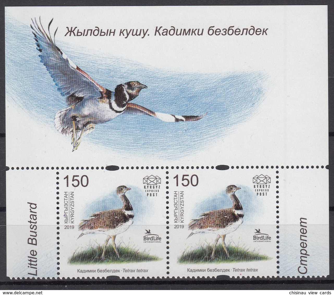 KYRGYZSTAN 2019 EUROPA CEPT.NATIONAL BIRDS  2 ST.WITH VIGNIETTE  MNH - 2019