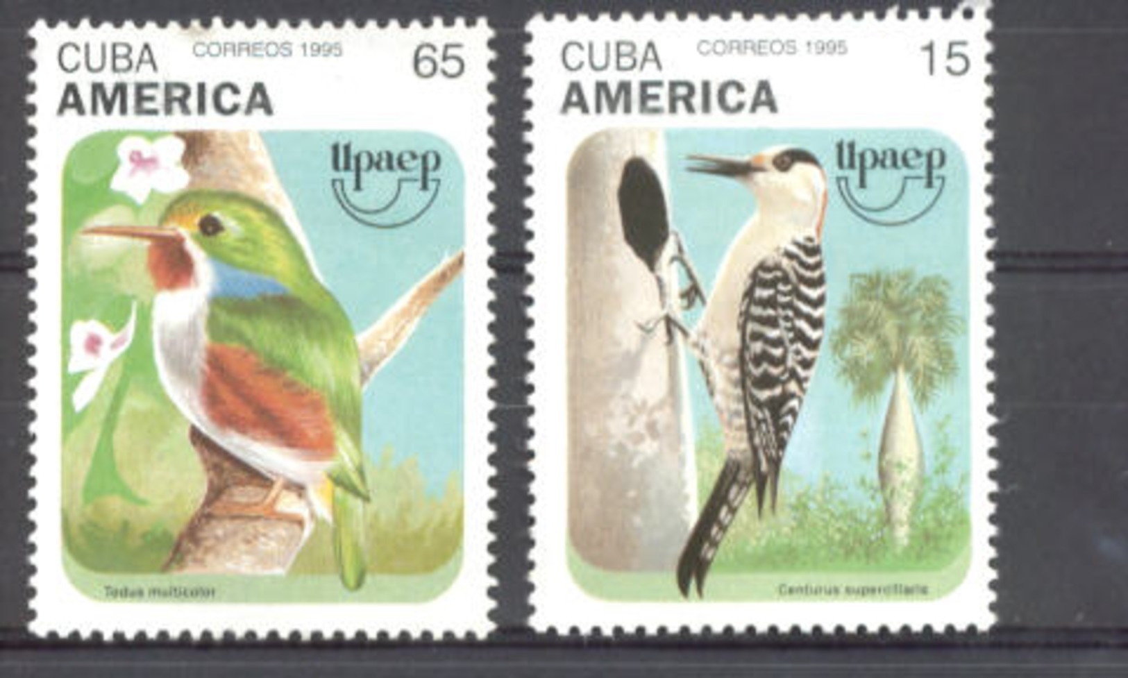 Cuba 1995 America UPAEP Birds MNH Scott 3698-3699 Value $1.95 - Neufs