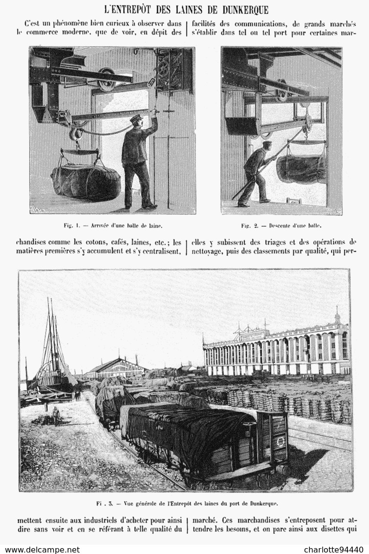 L'ENTREPOT Des LAINES Du PORT De  " DUNKERQUE  " 1901 - Picardie - Nord-Pas-de-Calais