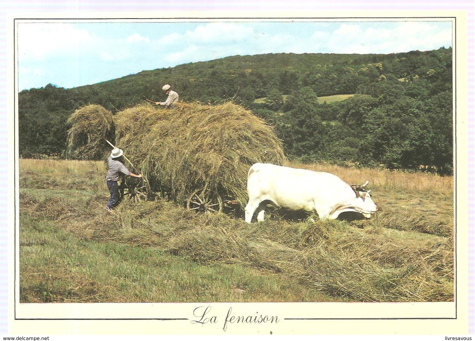 Agriculture Les Métiers D'antan La Fenaison - Cultures