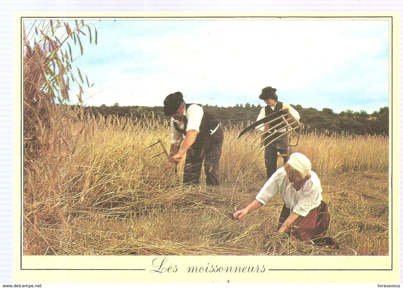 Agriculture Les Métiers D'antan Les Moissonneurs - Cultures