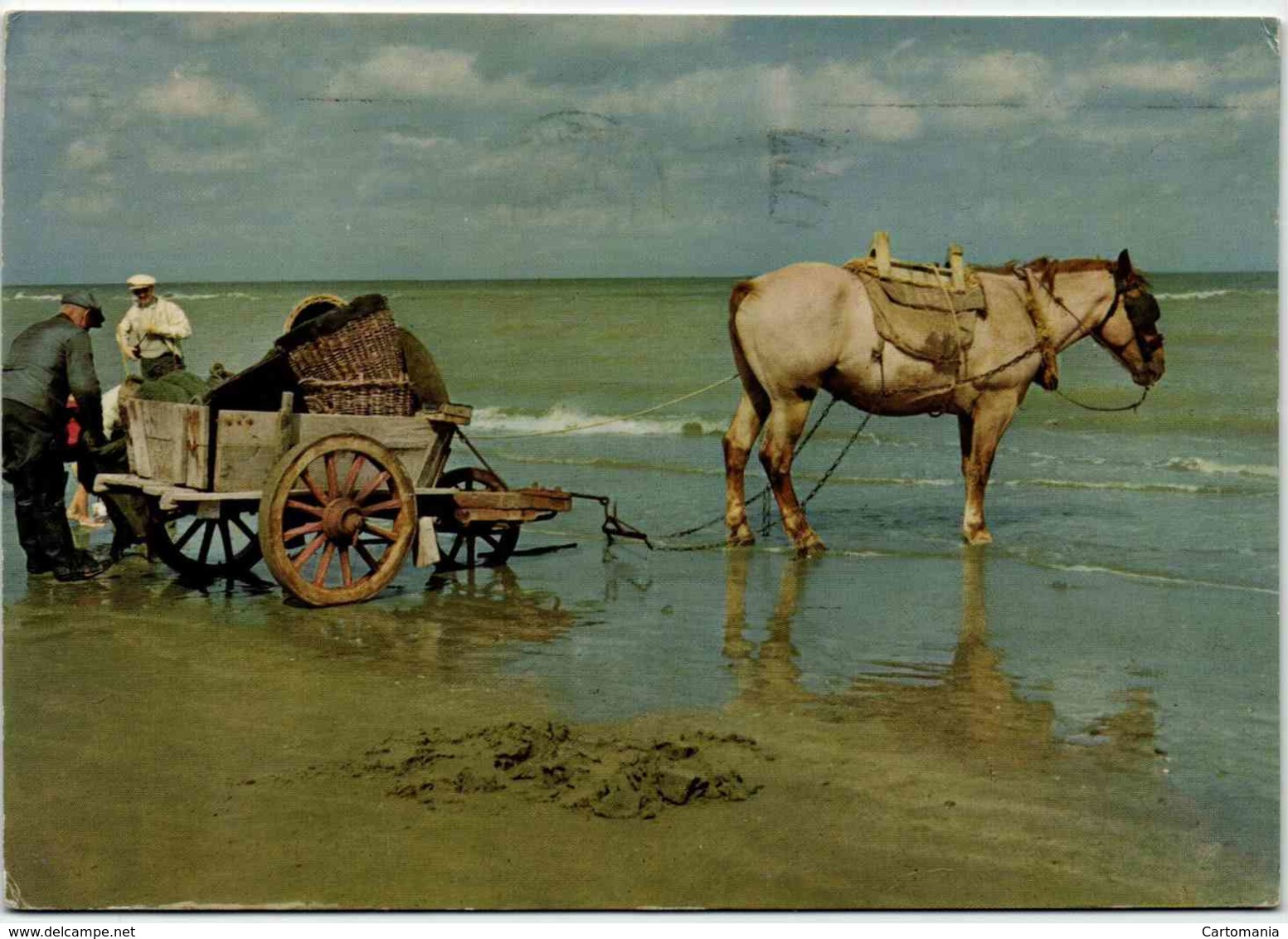 Après Un Bonne Pêche De Crevettes - Pêche