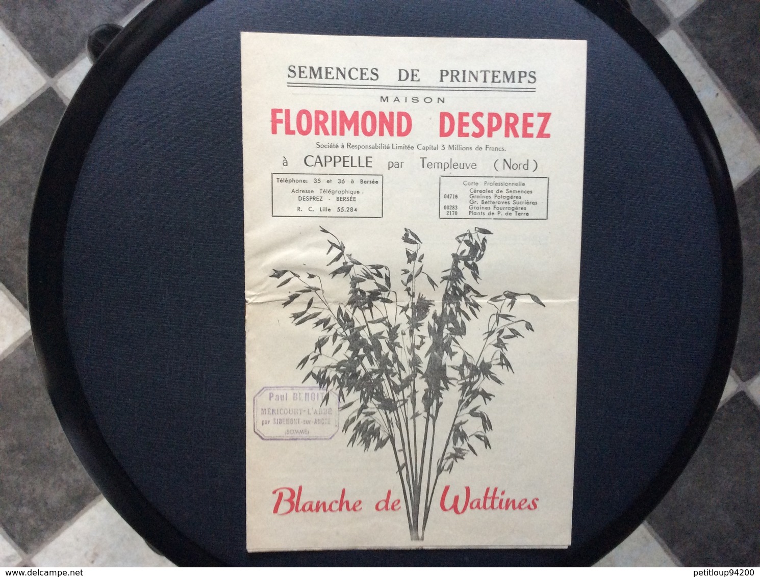 CATALOGUE FLORIMOND DESPREZ  Semences De Printemps  BLANCHE DE WATTINES  Capelle Par Templeuve  NORD.. - Garden